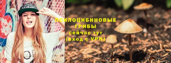 эйфоретик Балахна