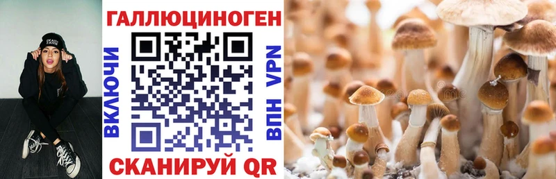 Галлюциногенные грибы Cubensis  Кстово 